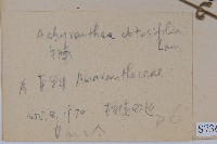 登錄號:S073624藏品圖，第2張