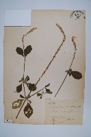 登錄號:S073639藏品圖，第1張