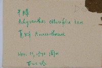 登錄號:S073649藏品圖，第2張