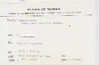 玉山佛甲草藏品圖，第2張