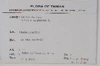 青葙藏品圖，第2張