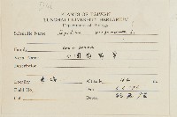 獨行菜藏品圖，第2張