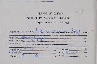 黃連木、爛心木藏品圖，第2張