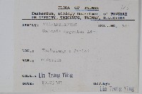 青葙藏品圖，第2張