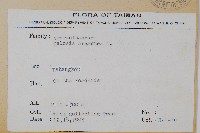 青葙藏品圖，第2張