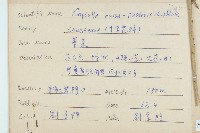 獨行菜藏品圖，第2張