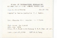 薺藏品圖，第2張