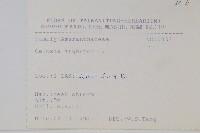 青葙藏品圖，第2張