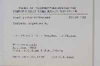 青葙藏品圖，第2張