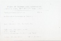 玉山佛甲草藏品圖，第2張