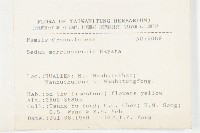 玉山佛甲草藏品圖，第2張