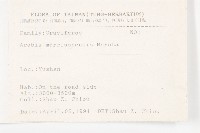 玉山筷子芥藏品圖，第2張