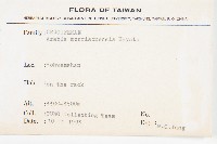 玉山筷子芥藏品圖，第2張