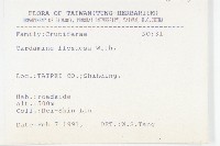 焊菜藏品圖，第2張