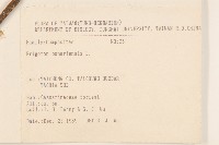 野塘蒿藏品圖，第2張