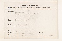 玉山飛蓬藏品圖，第2張