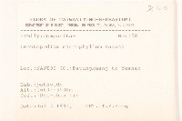 玉山薄雪草藏品圖，第2張