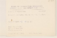 蔓澤蘭藏品圖，第2張