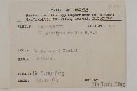 地膽草、毛蓮菜藏品圖，第2張