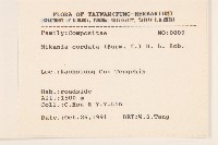 蔓澤蘭藏品圖，第2張