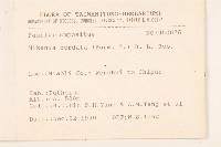 蔓澤蘭藏品圖，第2張