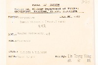 兔仔菜藏品圖，第2張