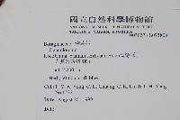 登錄號:S073809藏品圖，第2張