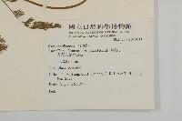 登錄號:S073811藏品圖，第2張