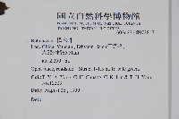 登錄號:S073817藏品圖，第2張