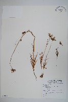 登錄號:S073821藏品圖，第1張