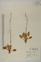 登錄號:S073825藏品圖，第1張