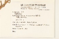 登錄號:S073827藏品圖，第2張