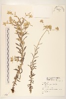 登錄號:S073828藏品圖，第1張