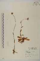 登錄號:S073829藏品圖，第1張