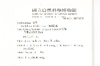 山蟛蜞菊藏品圖，第2張