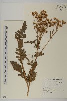 登錄號:S073883藏品圖，第1張