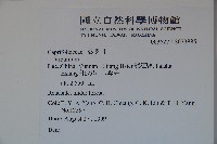 登錄號:S073885藏品圖，第2張
