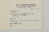 登錄號:S073900藏品圖，第2張