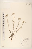 登錄號:S073901藏品圖，第1張