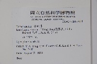 粉葉小檗藏品圖，第2張