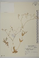 登錄號:S073909藏品圖，第1張