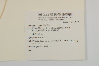 登錄號:S073909藏品圖，第2張