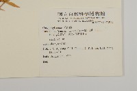 登錄號:S073917藏品圖，第2張