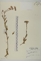 登錄號:S073926藏品圖，第1張