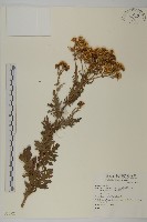 登錄號:S073927藏品圖，第1張