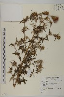 登錄號:S073929藏品圖，第1張