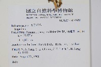 登錄號:S073951藏品圖，第2張