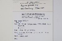 登錄號:S073953藏品圖，第2張