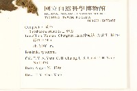 豨薟藏品圖，第2張