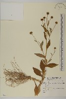 登錄號:S073982藏品圖，第1張